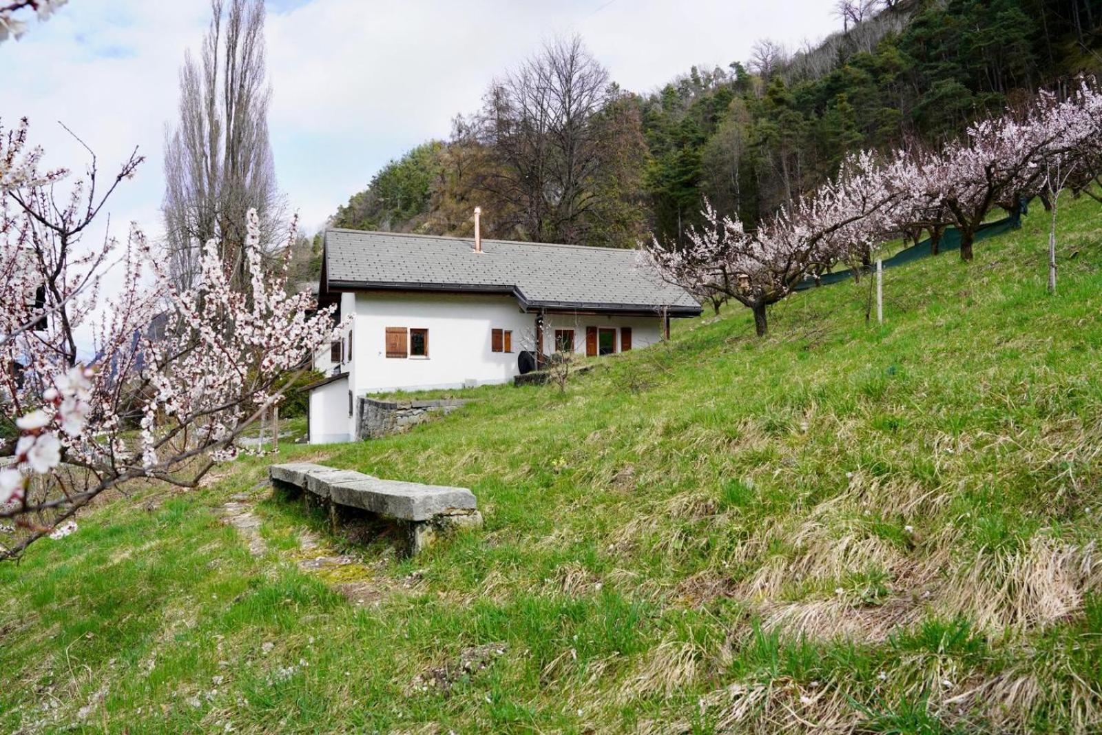 Maisonnette De Campagne Сион Экстерьер фото